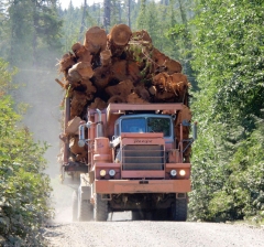 logging-truck 55345