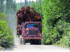 logging-truck-1 57646