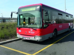 karoa-crossway-le 67033