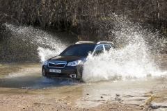 Forester je SUV se schopnostmi lehkého off-roadu