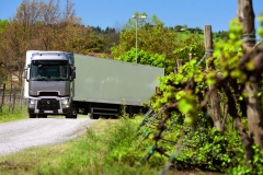 V závěru první etapy jízdy s Renaultem T přišla ke slovu „terénní“ vložka v podobě poměrně složitého manévrování po cestách mezi vinohrady.