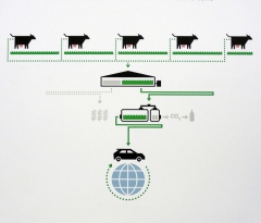 Kravský hnůj za celý rok vystačí na výrobu CNG pro osm tisíc kilometrů jízdy, tedy od pěti krav na cestu kolem světa!