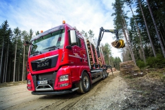 Dřevařský a lesnický průmysl je pro finální výrobce těžkých nákladních vozidel velmi zajímavý segment.