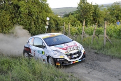 Úspěšná posádka Dunovský/Glössl (Peugeot 208 R2)