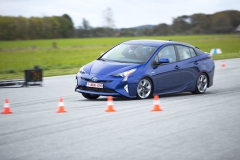 Takzvaný losí test, tedy vyhýbací manévr, patří k tradicím Tannistesten od jejich počátků. Vychází z častých krizových situací v severských zemích, ale jeho parametry se v průběhu let staly obecně platným měřítkem. S každým, plně vytíženým vozem jezdí vždy stejný řidič a jede se přibližně pět jízd s postupně navyšovanou rychlostí. V dějinách Tannistesten se několik automobilů dokonce převrátilo; letos měli někteří adepti namále, ale požadavky testů splnili všichni