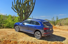 Zvláště v kombinaci s příplatkovým vzduchovým pérováním jsou schopnosti Audi Q5 v terénu obdivuhodné