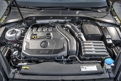 Zatím je k dispozici výkonnější verze motoru 1.5 TSI, v průběhu roku přibyde i jeho hospodárnější verze Bluemotion