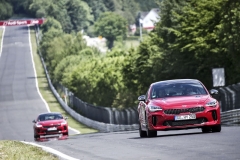 Na trati Severní smyčky okruhu Nürburgring strávila Kia Stinger mnoho testovacích okruhů. I proto zde fungovala skvěle