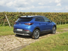 Opel Grandland X v hesenských vinicích. Nelze mu upřít originální tvary ani moderní švih