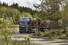 Nordická lesní souprava R650 6x4, 25,25 m a 52 t