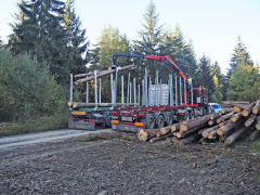 Zatímco Tatra měla hydraulický jeřáb, DAF 4x2 nikoliv a musel tedy být nejdříve naložen jeřábem z Tatry