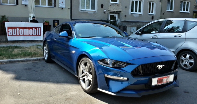 mustang 133396