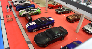Kolekce legendárních Mustangů zaostala za očekáváními. Sbírku sestavil Peter Schropp, specialista na renovace a tuning „pony cars“. Možná proto sice vidíme různé verze Shelby, Cobra a Bullitt, ale chybějí některé přelomové, méně opticky atraktivní kousky