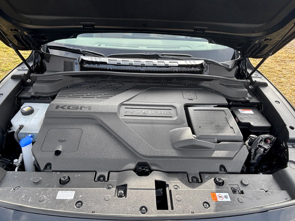 Hybridní pohon tvoří zážehový čtyřválec 1,5 litru, elektromotor a LFP akumulátor. Maximální výkon soustavy činí 150 kW (204 k), hodnotu točivého momentu však výrobce neuvádí