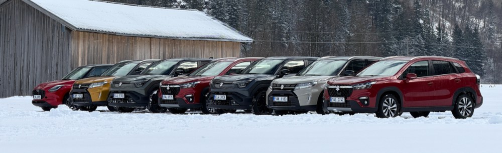Suzuki má aktuálně v nabídce čtyři vlastní modely s pohonem všech kol, využívající z pohledu techniky tři různé systémy. Doplňuje je typ Across, původem od Toyoty
