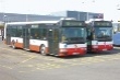 City busy pražské linky 100 pro dopravu na ruzyňské letiště.